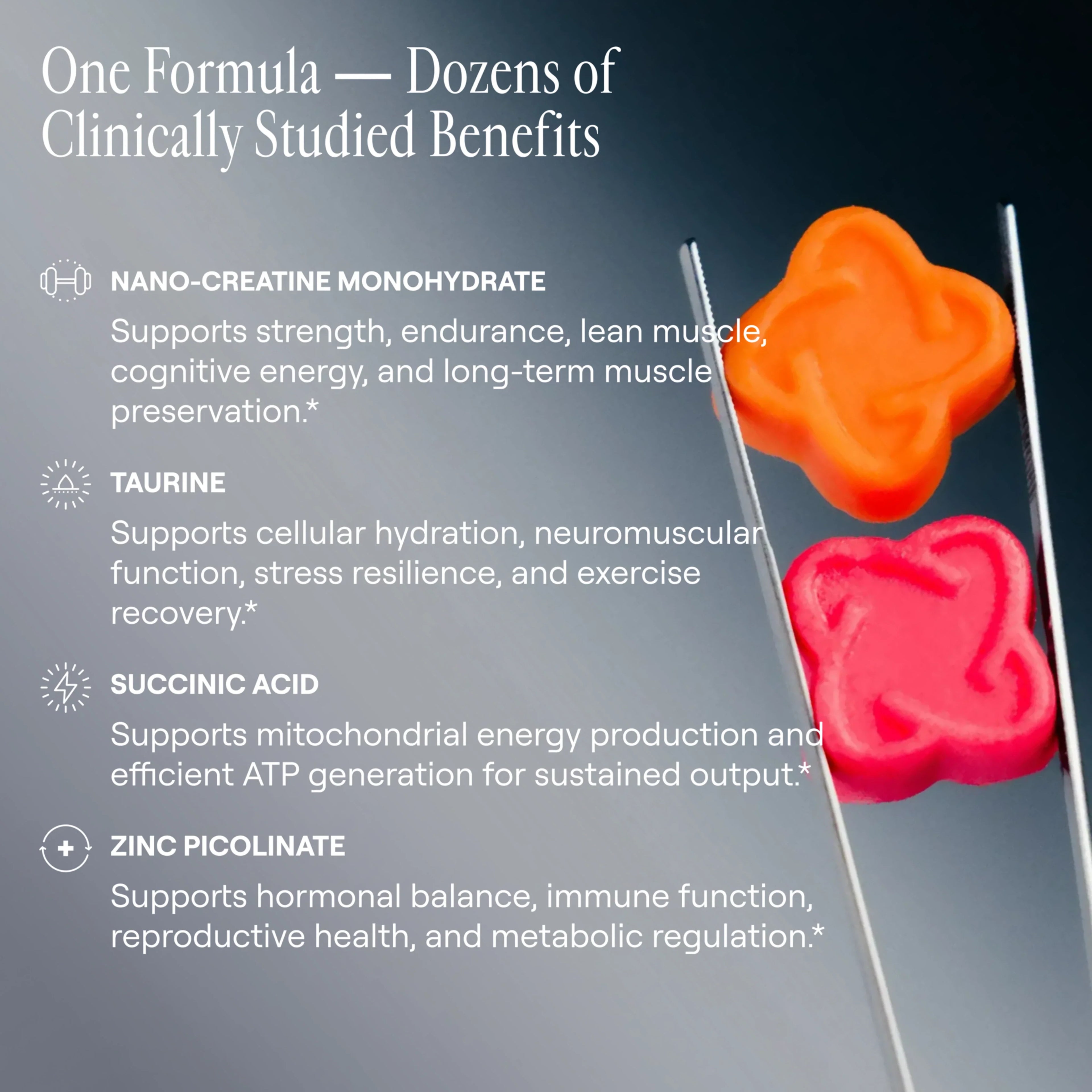 Arq8™ Creatine Monohydrate Gummies